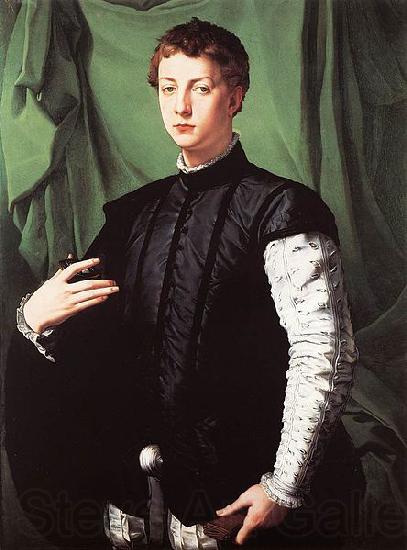 Angelo Bronzino Portrait of Ludovico Capponi Spain oil painting art